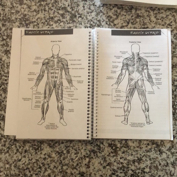 Musclemag No Pain, No Gain Training Journal - Picture 4 of 4